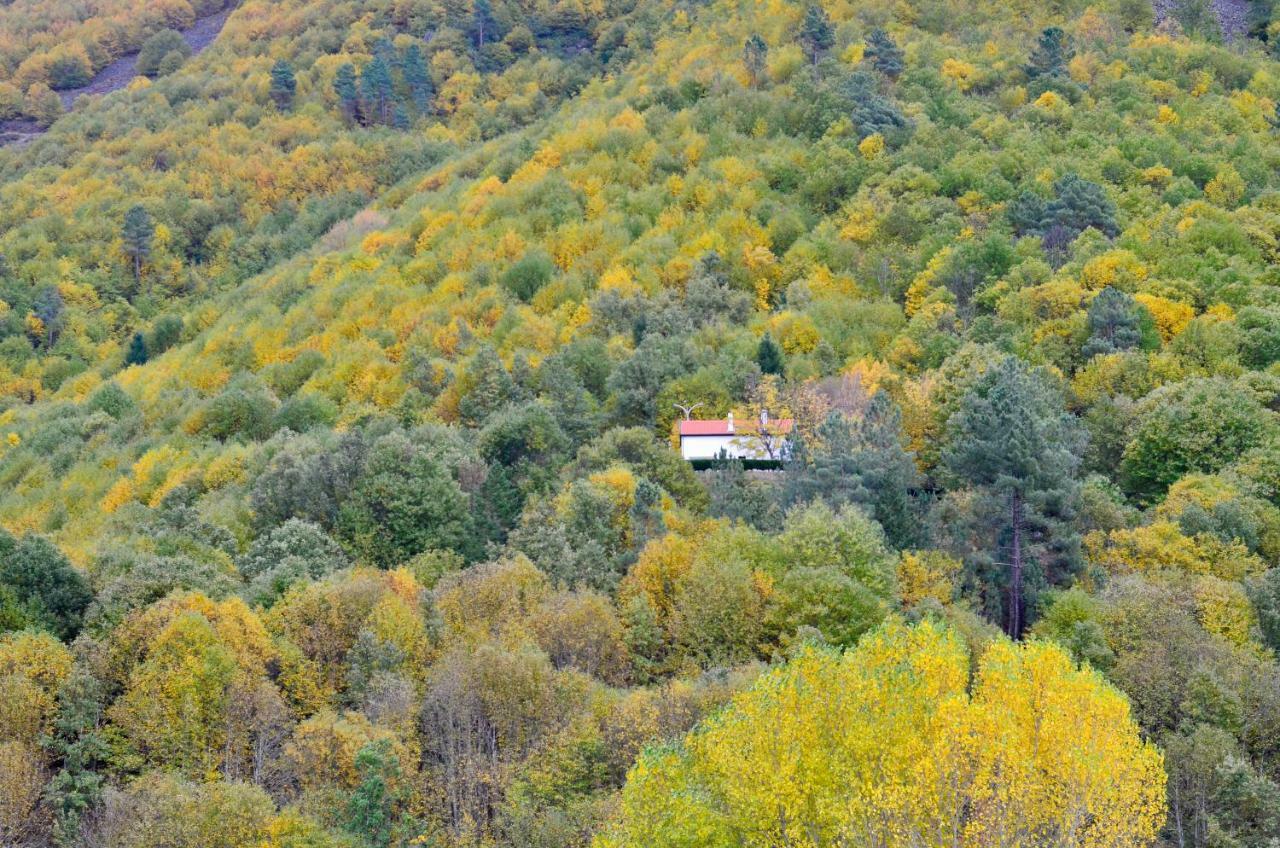 Solar Da Castanha - Forest House *